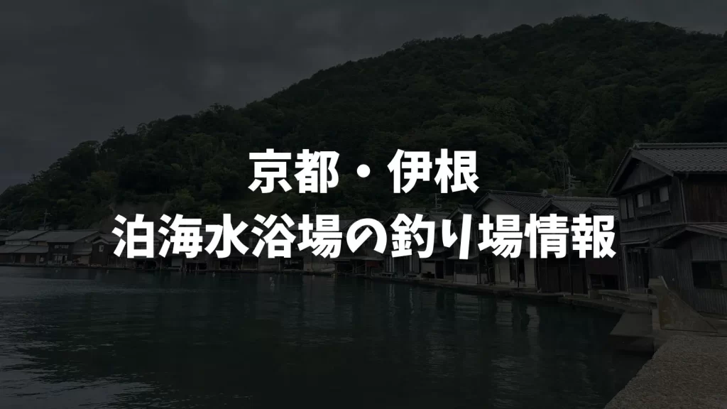 泊海水浴場（京都・伊根）の釣り場情報｜丹後エリア