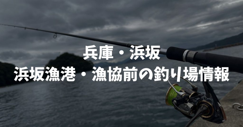 浜坂漁港・漁協前（兵庫・浜坂）の釣り場情報｜但馬エリア