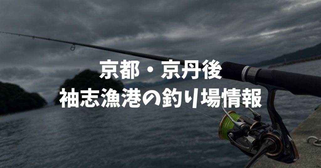 袖志漁港（京都・京丹後）の釣り場情報｜丹後エリア