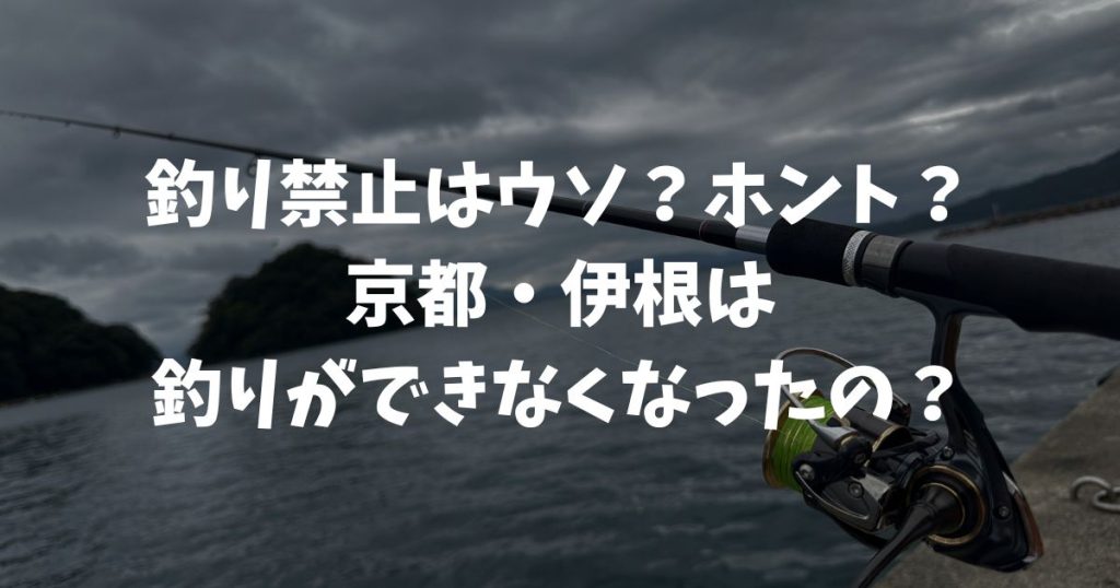 京都・伊根で釣りはできなくなったのか？釣り禁止のウソ、ホントを検証