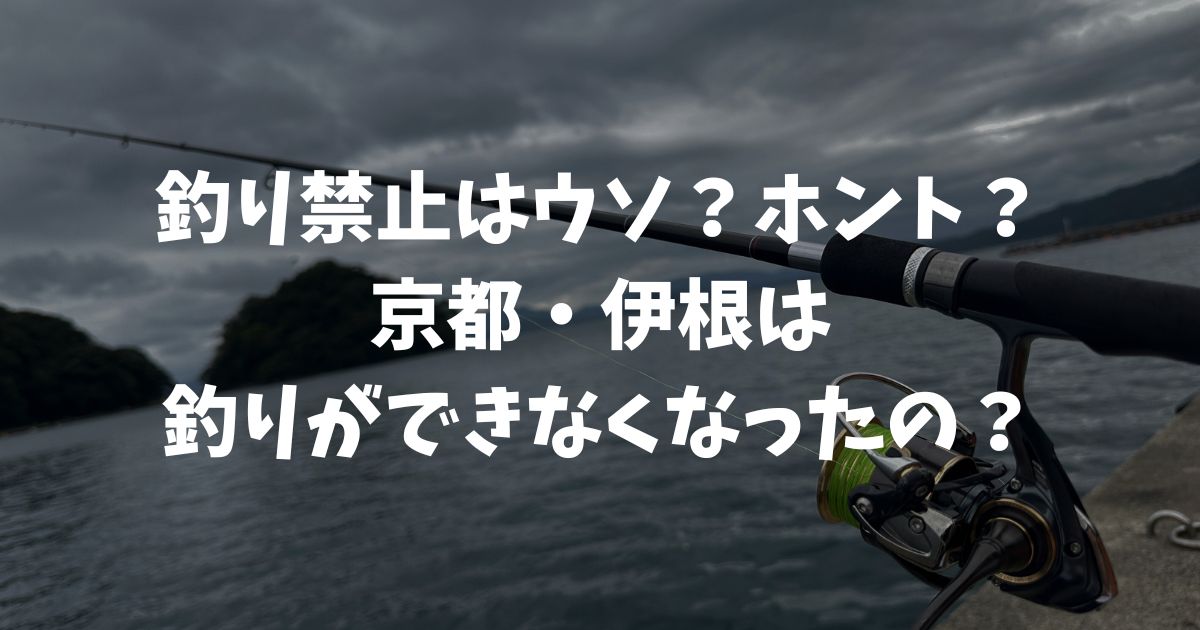 京都・伊根で釣りはできなくなったのか？釣り禁止のウソ、ホントを検証