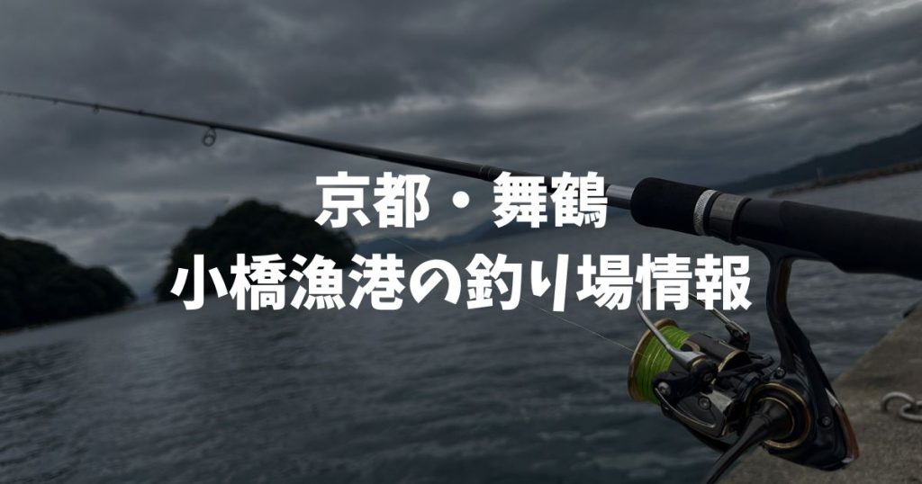 小橋漁港（京都・舞鶴）の釣り場情報｜丹後エリア
