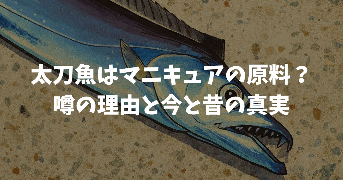 太刀魚はマニキュアの原料なの？噂の理由と昔の化粧品の歴史から現在の成分