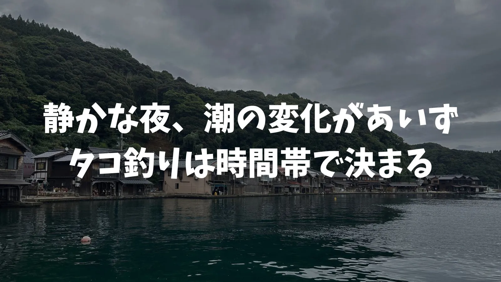 タコ釣りの時間帯はいつが釣りやすい？夜・早朝・夕方の釣れる時間と場所！仕掛けや条件で釣果倍増