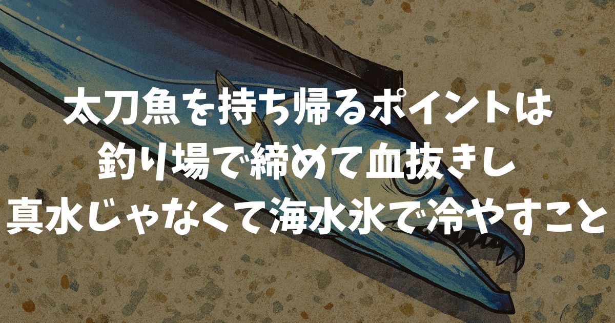 太刀魚の持ち帰り方を工夫して釣った魚を最高の状態で食卓に届けるための具体的テクニック