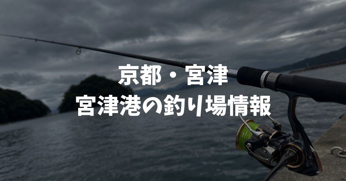 宮津港(京都・宮津)の釣り場情報|丹後エリア