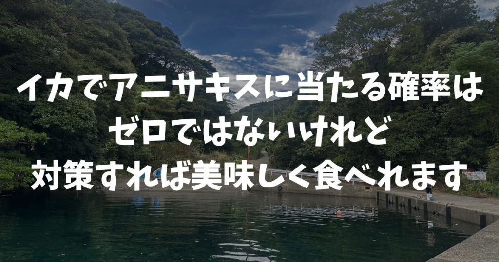イカでアニサキスに当たる確率とリスクを下げる冷凍や処理の方法!美味しく安全に食べる方法