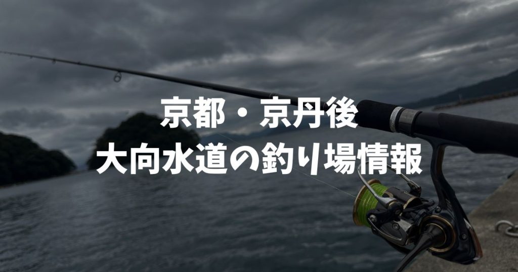 大向水道（京都・京丹後）の釣り場情報│丹後エリア２