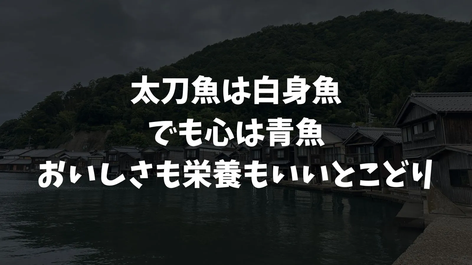 太刀魚は青魚？それとも白身魚？分類と違いと美味しさを釣り人目線で解説