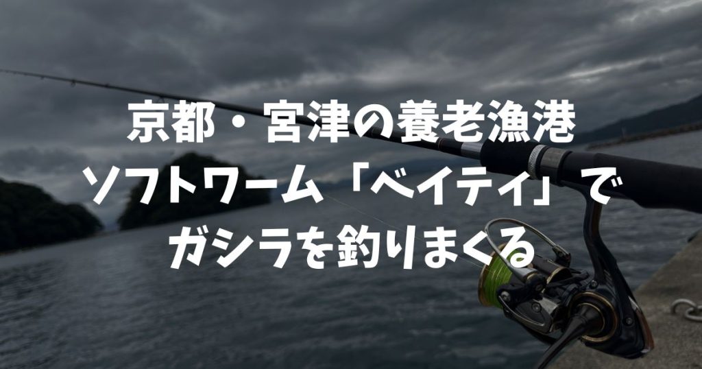 京都・宮津の養老漁港、ソフトワーム「ベイティ」でガシラを釣れる、釣れる！