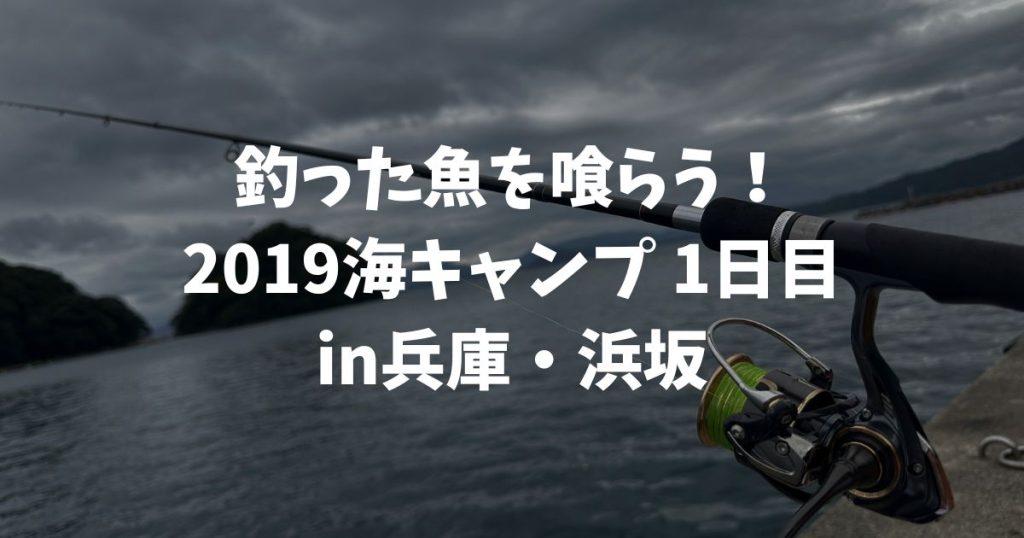 釣った魚を喰らう！真夏の恒例イベント、2019海キャンプin兵庫・浜坂1日目