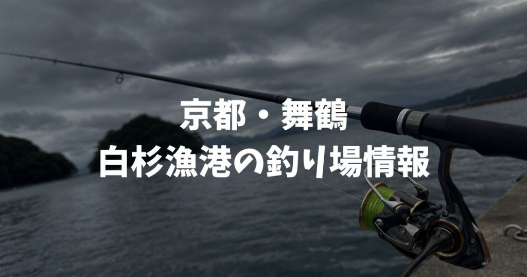 白杉漁港（京都・舞鶴）の釣り場情報｜丹後エリア