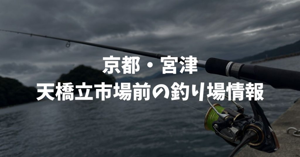 天橋立市場前（京都・宮津）の釣り場情報｜丹後エリア