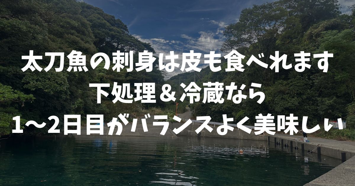 太刀魚の刺身は皮まで食べれる？味の違いやいつまで美味しく食べられるかを釣り人目線で徹底解説