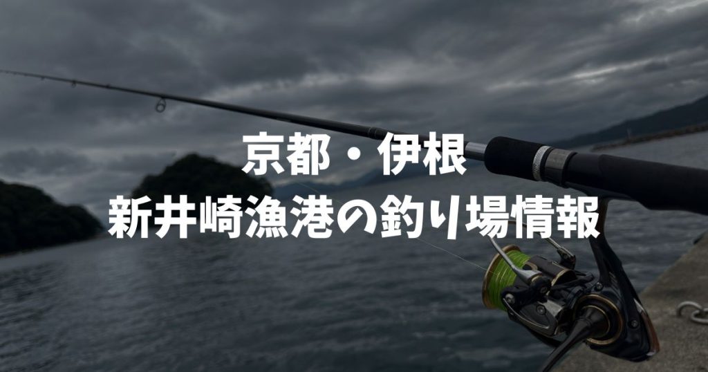 新井崎漁港（京都・伊根）の釣り場情報｜丹後エリア