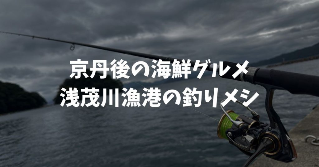 浅茂川漁港の釣りメシ!京丹後の美味しい海鮮グルメ!丹後ひもの屋