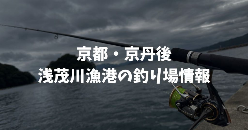 浅茂川漁港（京都・京丹後）の釣り場情報│丹後エリア
