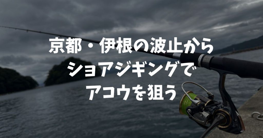 京都・伊根の波止からショアジギングでアコウを狙うin伊根網干場