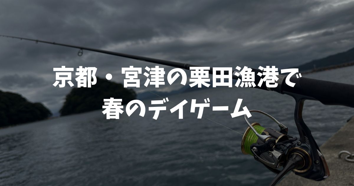 栗田漁港（京都・宮津）で春の釣り。親子でデイゲームを楽しむ！