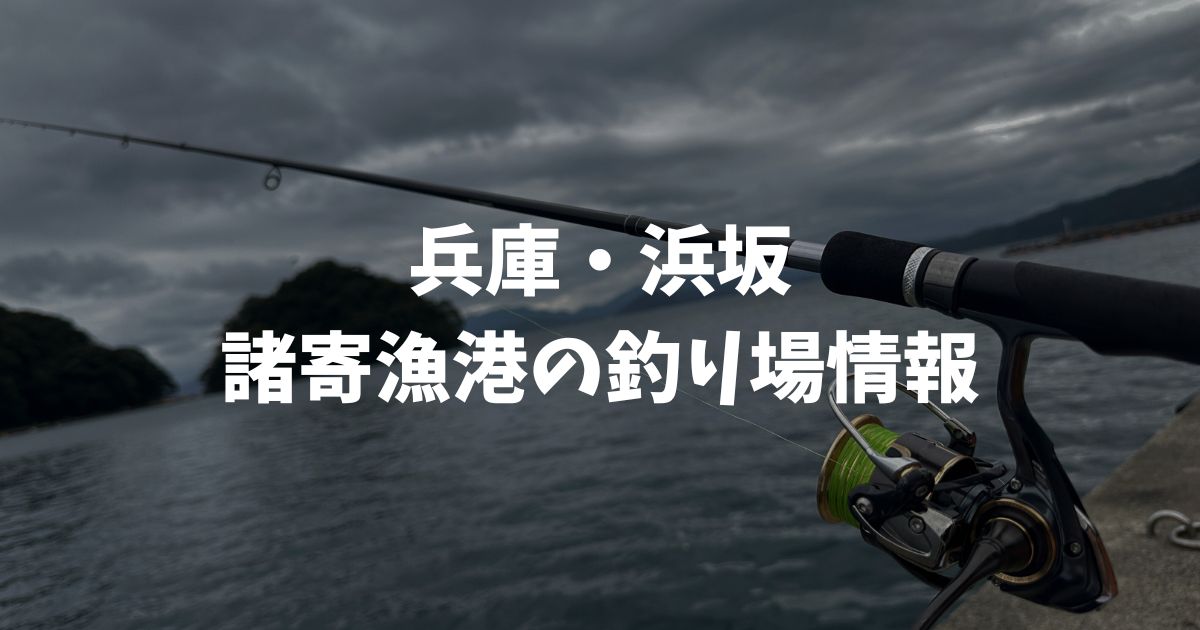 諸寄漁港(兵庫・浜坂)の釣り場情報|但馬エリア
