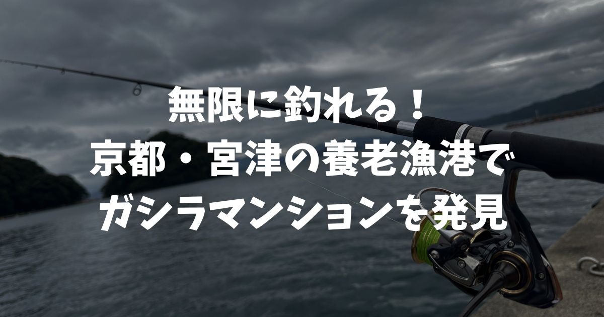 養老漁港でベイティ大暴れ！無限に釣れるガシラマンション発見！子どもの釣りにもオススメ！