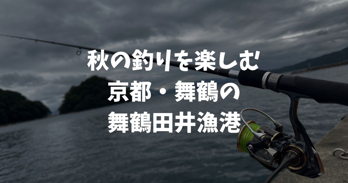 京都・舞鶴、舞鶴田井漁港で子どもと一緒に秋の釣り