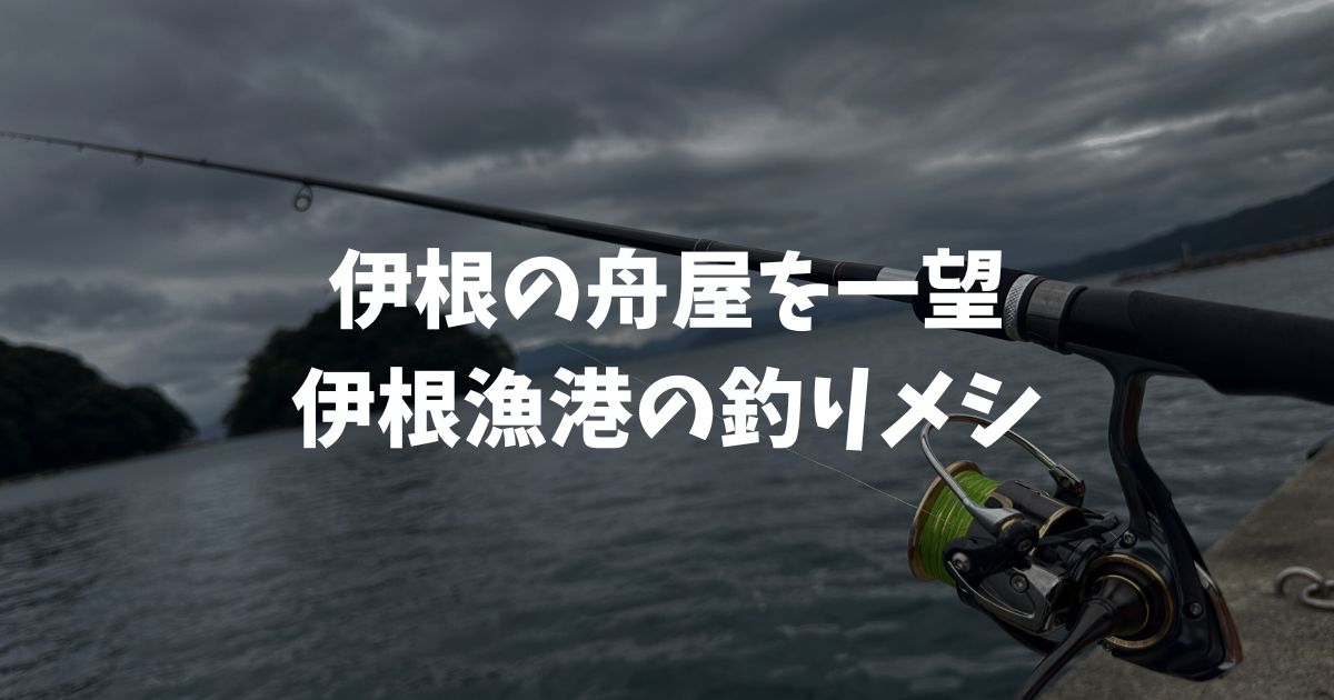 伊根漁港の釣りメシ！伊根の美味しい海鮮グルメ！レストラン舟屋