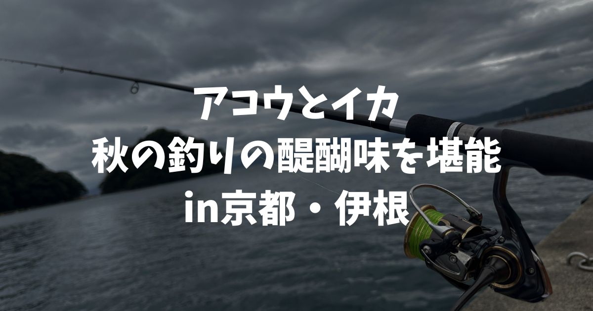 京都・伊根、秋の釣りの醍醐味。アコウとイカを釣って食べる！