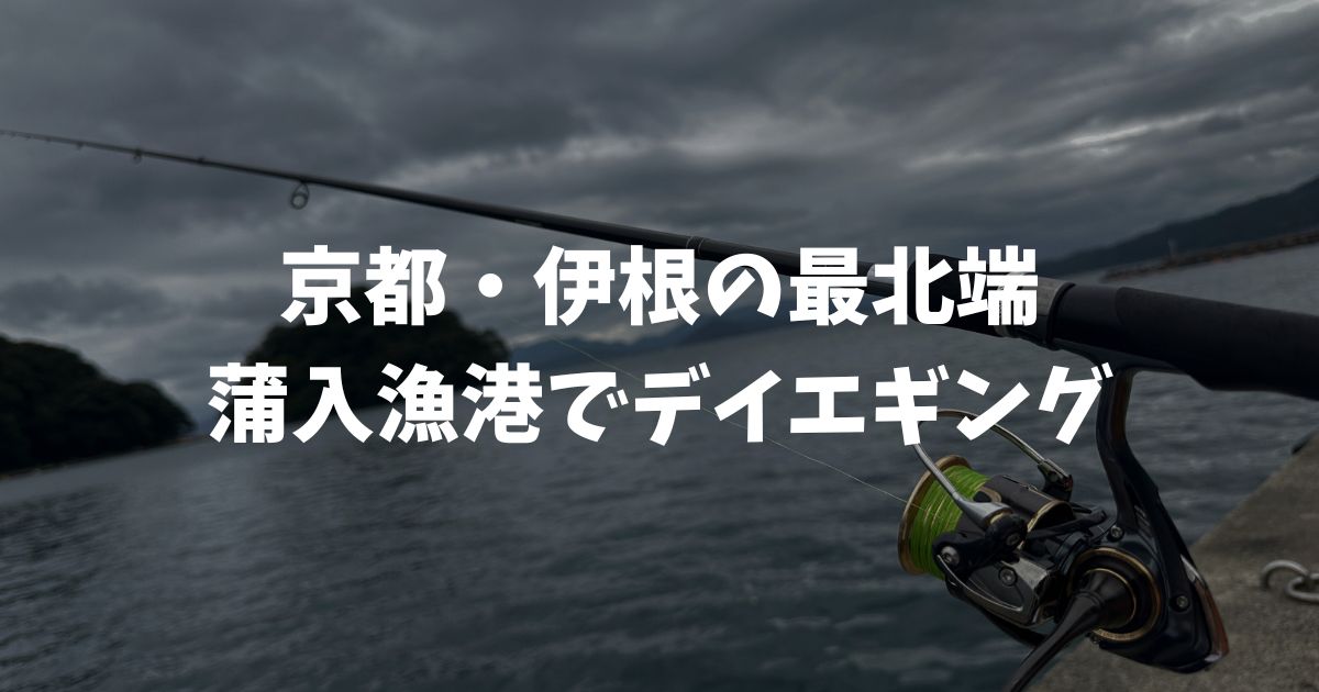 京都・伊根の釣り場、蒲入漁港でデイエギング