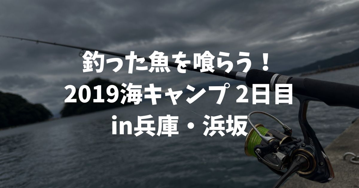 釣った魚を喰らう！真夏の恒例イベント、2019海キャンプin兵庫・浜坂2日目