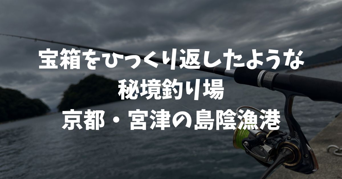 京都・宮津、島陰漁港の釣りがマイブーム！スピンテールジグでデイゲームを楽しむ