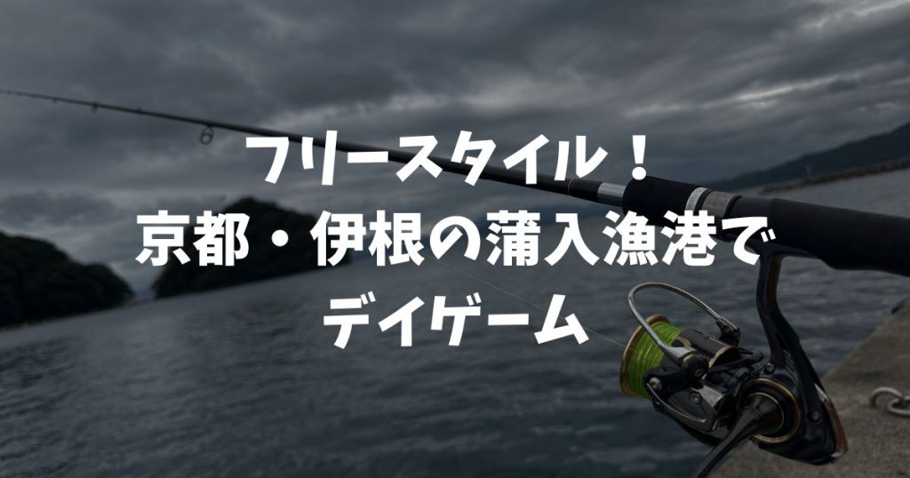 蒲入漁港（京都・伊根）でデイゲーム！エギング・ショアジギングで嬉しい釣果
