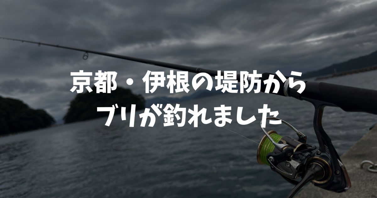 京都・伊根の伊根網干場からブリが釣れた話